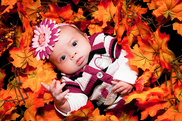 Babies0052